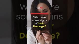 Signs Of Hair Damage  HairMD Pune