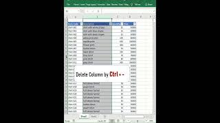  ms excel shortcut for adddelete rowcolumn  shorts