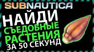 Subnautica СЪЕДОБНЫЕ РАСТЕНИЯ