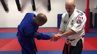 Budoshin Jujitsu Training Tips Techniques & Variations by George Cushinan