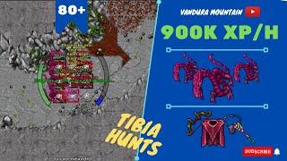 EK SOLO LVL 80+ 900K XPH - SKILLS 8279 - Vandura Mountain - TIBIA HUNT - EK SOLITÁRIO DO ZERO