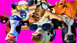 FUNNY COW - Coffin Dance Song COVER SUPER MEGAMIX