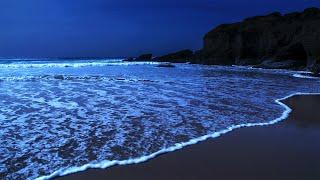 Deep Sleep White Noise Sounds Ocean Waves Whispering ASMR For Sleeping at Carrapateira Beach