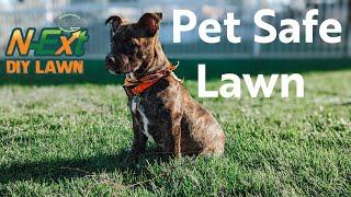 PET FRIENDLY Lawn Care PROGRAM Cool Season GRASS  N-Ext™ DIY Lawn Care Tips