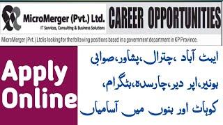 Micromerger KPK jobs 2024 Psychologist Social worker  Rozee pk NGO jobs 2024