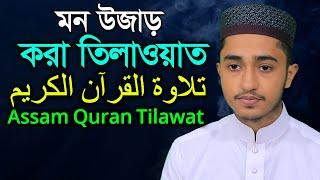 মন উজাড় করা তিলাওয়াত ক্বারী আবু রায়হান Best Quran Recitation Qari Abu Rayhan قاري ابو ريحا