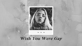 Billie Eilish - Wish You Were Gay ▎若你是同性戀，該有多好   ▎中文字幕 Lyrics