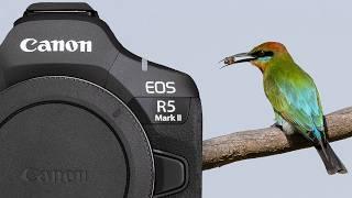 CANON EOS R5 Mark II TESTED and REVIEW Bird photography