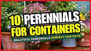  CONTAINER GARDEN MAGIC  10 Beautiful Perennials Perfect for Pots - TRANSFORM Your Space 
