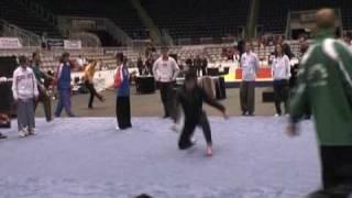 10th World Wushu Championship Warm up  Open practice