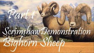 Scrimshaw Demonstration by Adams - Bighorn Sheep Part 1