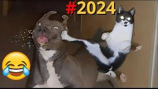 TENTE NÃO RIR - Melhores Memes e Vídeos Engraçados 2024 #7