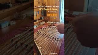 Hammered Dulcimer With Sharping Levers - Change Scales Easy - Santur With Mandal