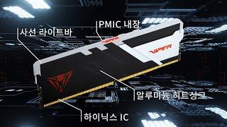 Korean Viper DDR5 Intro