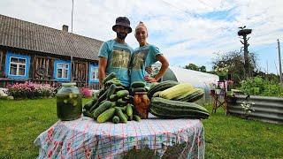 Жизнь в деревне БЕЗ СВЕТА Заготовки на зиму при свете фонарей