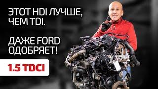 1.5 TDCI - прекрасный французский дизель для Ford. Какие недостатки в нём есть?