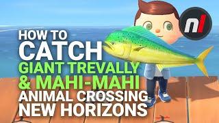 How to Catch the Mahi-Mahi & Giant Trevally in Animal Crossing New Horizons