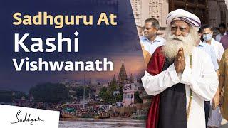 Sadhguru Offers Abhishekam to Kashi Vishwanath Linga