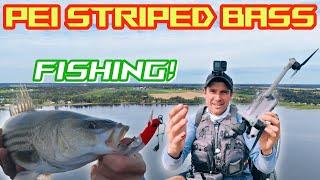 New favourite LURE I need to be careful with my DRONE PEI Striped Bass Fishing