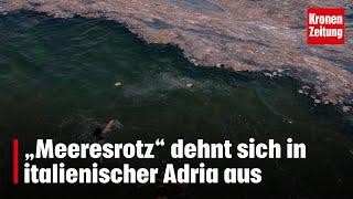 „Meeresrotz“ dehnt sich in italienischer Adria aus  krone.tv NEWS