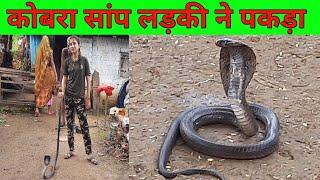 खतरनाक काला सांप ईट में घुसाकाले सांप का वीडियोकाला सांपblack snake video