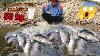 MASYA ALLOH..  hasilnya Ribuan ikan nila babon  jala sampai bergetar kuat banget