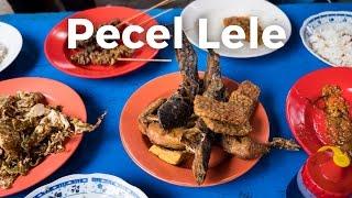 Fried Crispy Catfish Pecel Lele at Permata Mubarok 1  Indonesian Street Food in Jakarta