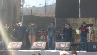 La Maxima Banda De Mazatlan - Toro Viejo  En Vivo 