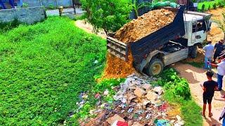 New Project  Landfill up in Flooded areas Bulldozer D20A & Truck 5T Pushing Soil Into water