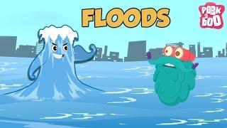 FLOODS - The Dr. Binocs Show  Best Learning Videos For Kids  Peekaboo Kidz