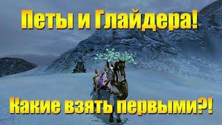 ARCHEAGE 6.5 - ЛУЧШИЕ МАУНТЫ И ГЛАЙДЕРЫ ЧТО КУПИТЬ ПЕРВЫМ? ОБЗОР