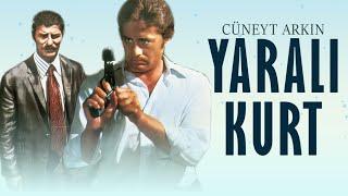 Yaralı Kurt Türk Filmi  FULL  CÜNEYT ARKIN  AHMET MEKİN