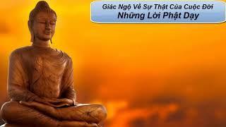 Giác Ngộ Về Sự Thật Của Cuộc Đời