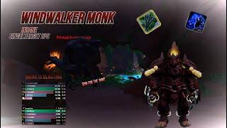 Windwalker monk - Dragonflight beta  Ruby life Pools Mythic +10 4 Set is insane 