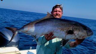 AWESOME Virginia Beach AMBERJACK Fishing