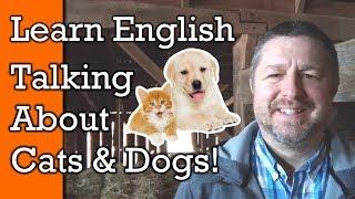 Cats and Dogs Learn English Words and Phrases to Talk About Pets