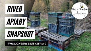 River Apiary Snapshot - 9 Colonies - First InspectionsRemoving FondantAdding Supers