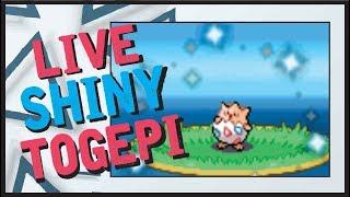 LIVE Shiny TOGEPI at chain of 40