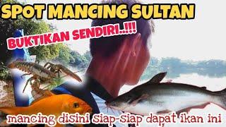 SPOT MANCING LIAR CIKARANG CIBARUSAH DISINILAH SPOT MANCING SULTAN SEMUA JENIS IKAN ADA DI SPOT INI