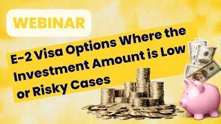 E-2 Visa Options where the Investment Amount is Low or Risky Cases