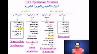 شرح هيكل ووظائف الـ HR للمبتدئين  -  HR structure & functions