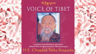 VOICE OF TIBET   a treasury of sacred mantras and prayers sung by H.E. Chagdud Tulku Rinpoche