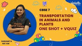 Transportation in Animals and Plants -   One Shot + VQuiz  Nabamita Maam Vedantu Young Wonders