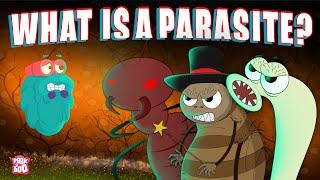 PARASITE  What Is A PARASITE?  Biology For Kids  The Dr Binocs Show  Peekaboo Kidz