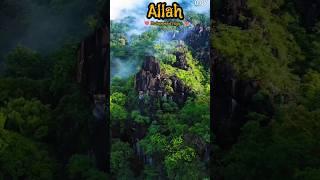 ️QURAAN ️ #viral #video #trending #trendingshorts #shortsfeed #shorts #short #islam #islamic#quran