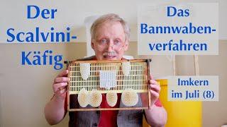 Das Bannwabenverfahren - Tipps & Tricks  Die Scalvini-Käfig-Methode