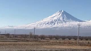 Armenian Bus Driver