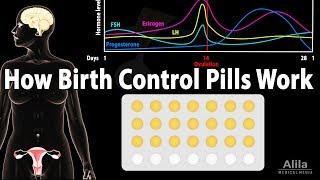 How Birth Control Pills Work Animation