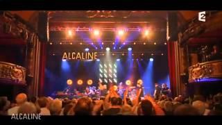 Alcaline le concert Bernard Lavilliers France 2 2014-06-05