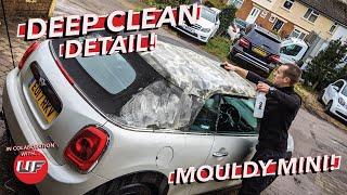 Deep Clean Detail  MOULDY MINI  How to Clean a Convertible roof